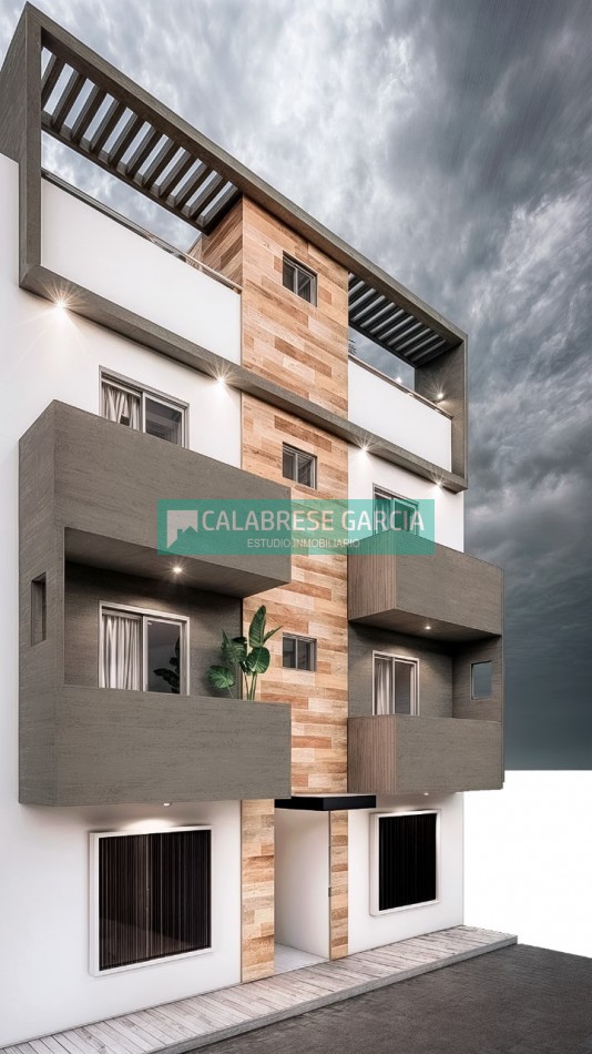 DESARROLLO OPTIMUS 1