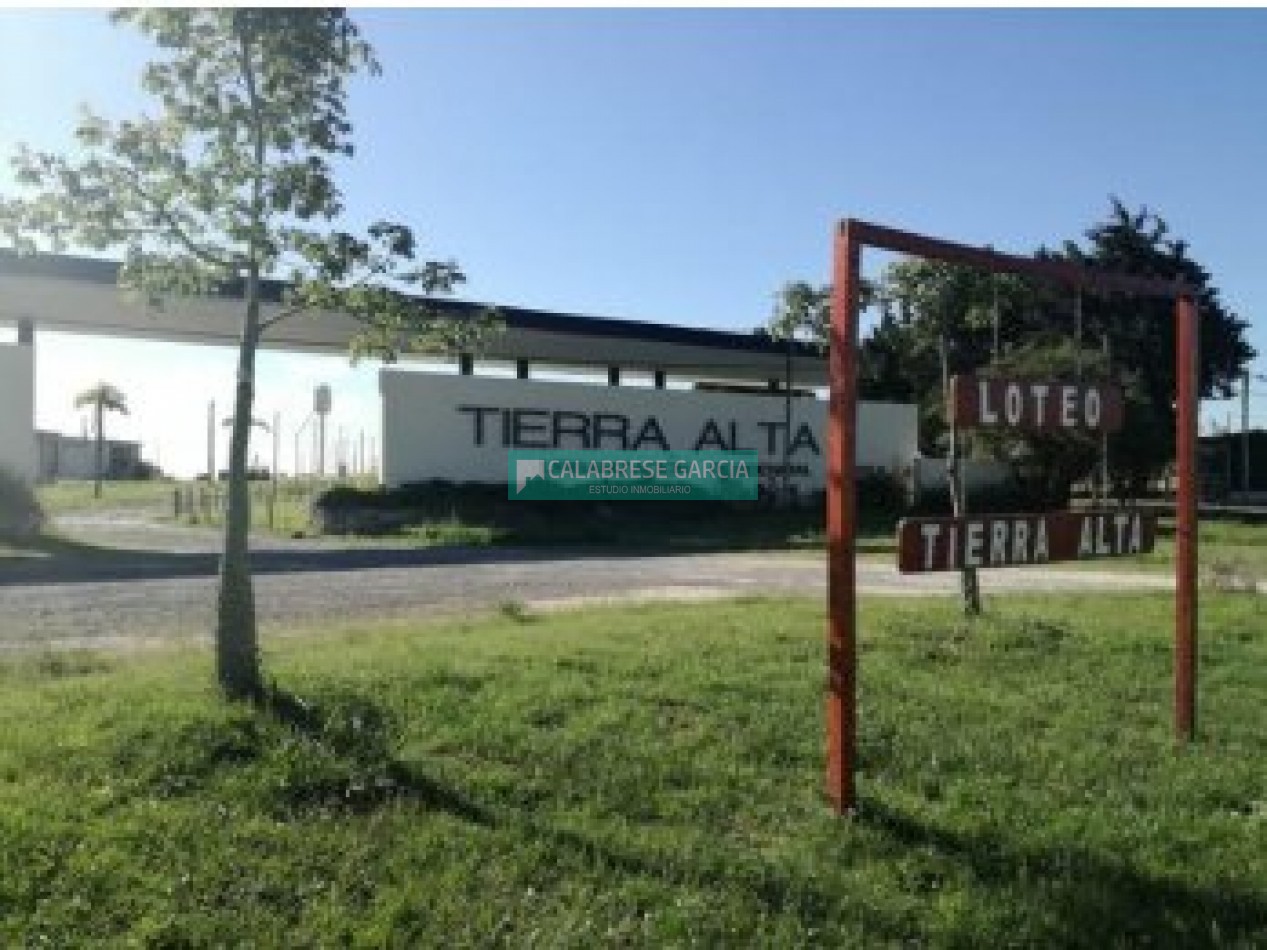 VENDO TERRENO EN TIERRA ALTA 1