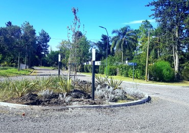 LOTEO SAUCE PUEBLO, SAUCE MONTRUL