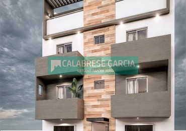 DESARROLLO OPTIMUS 1